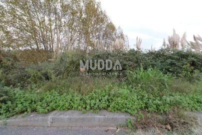 Terreno para Venda em Nogueira da Regedoura
