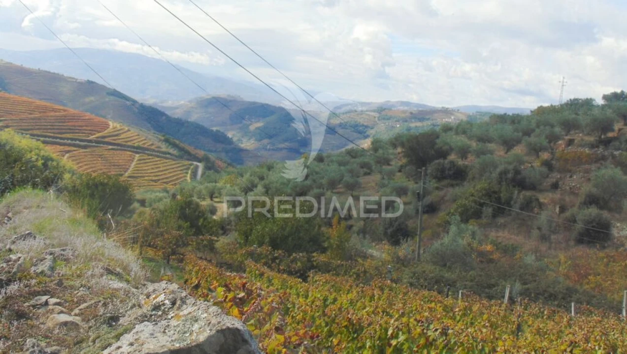 Quinta para Venda em Abaças Foto 8