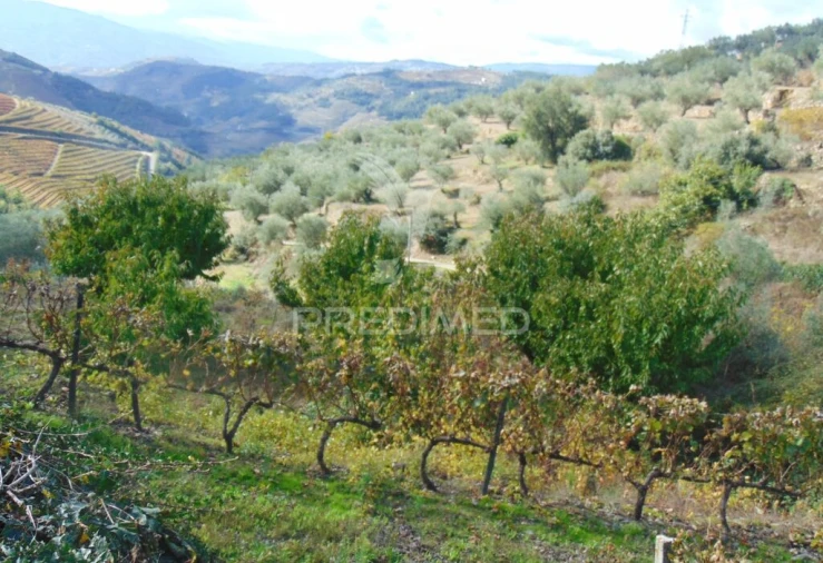Quinta para Venda em Abaças Foto 9