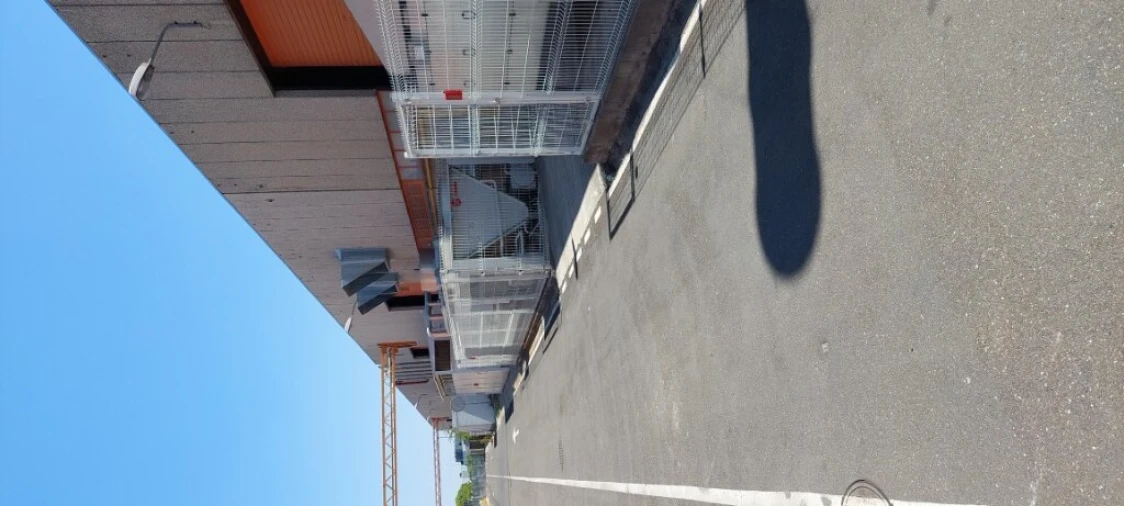 Armazém para Arrendamento em São Bento do Mato Foto 22