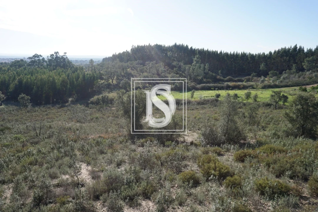 Terreno para Venda em Cunheira Foto 13