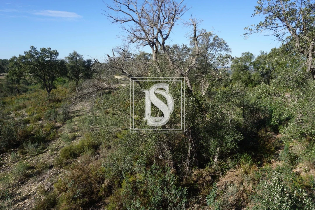 Terreno para Venda em Cunheira Foto 12