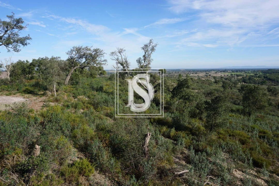 Terreno para Venda em Cunheira Foto 8