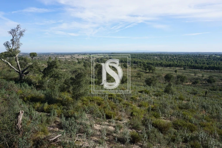 Terreno para Venda em Cunheira Foto 4