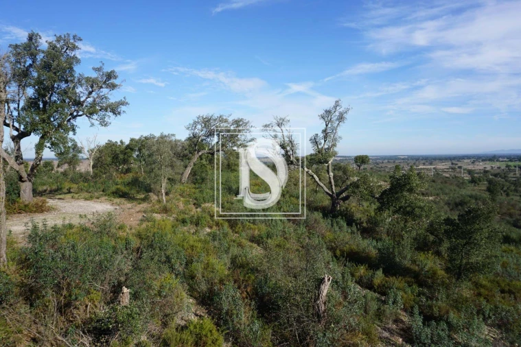 Terreno para Venda em Cunheira Foto 11