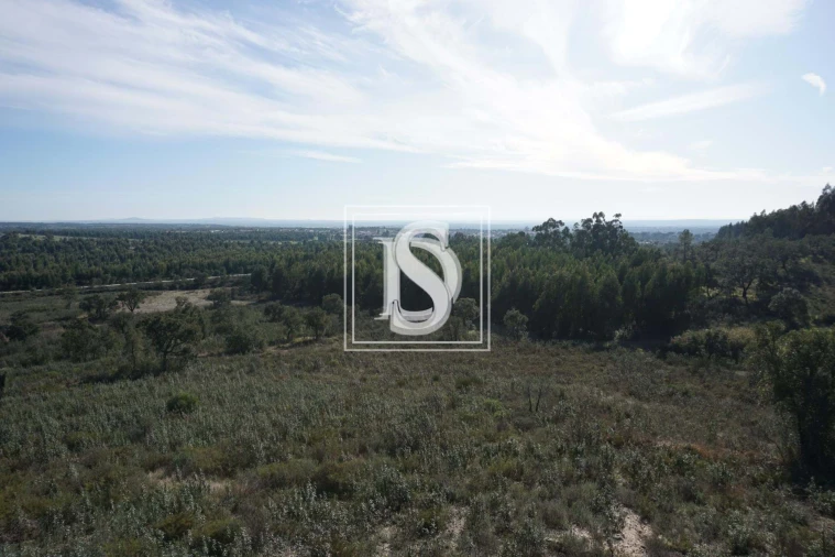 Terreno para Venda em Cunheira Foto 15