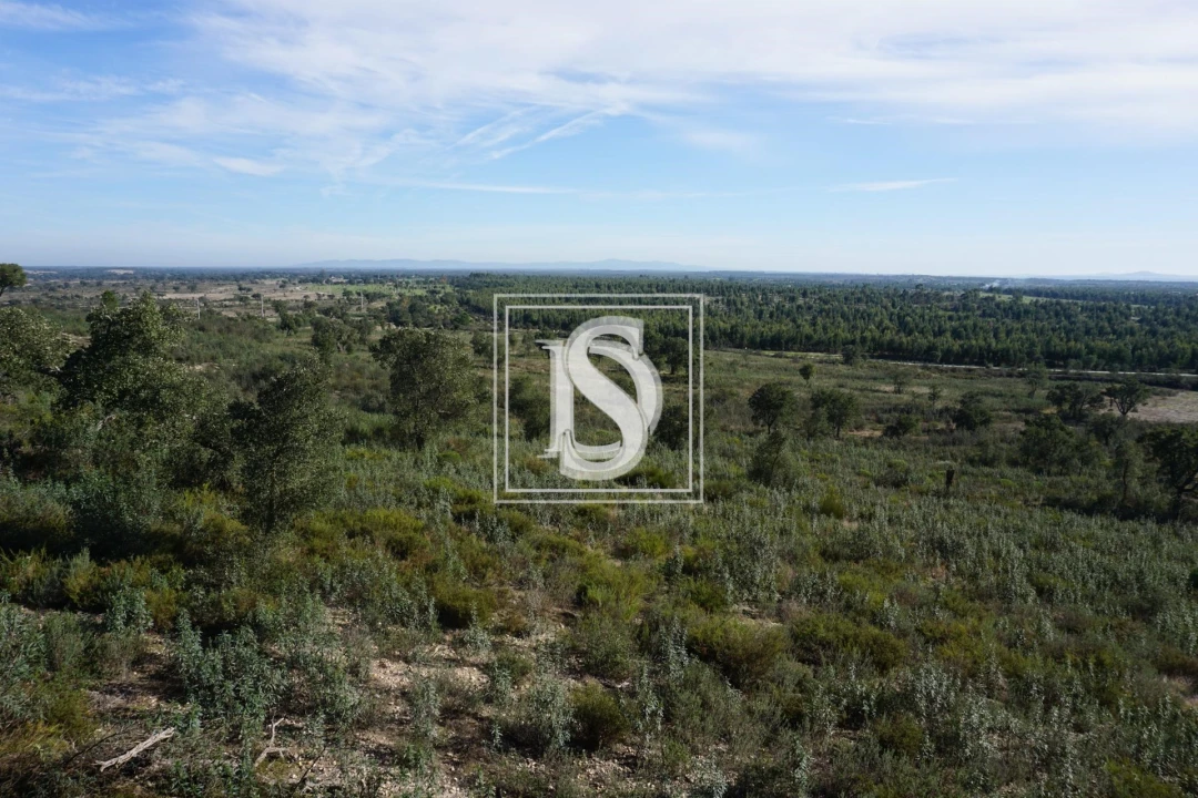 Terreno para Venda em Cunheira Foto 9