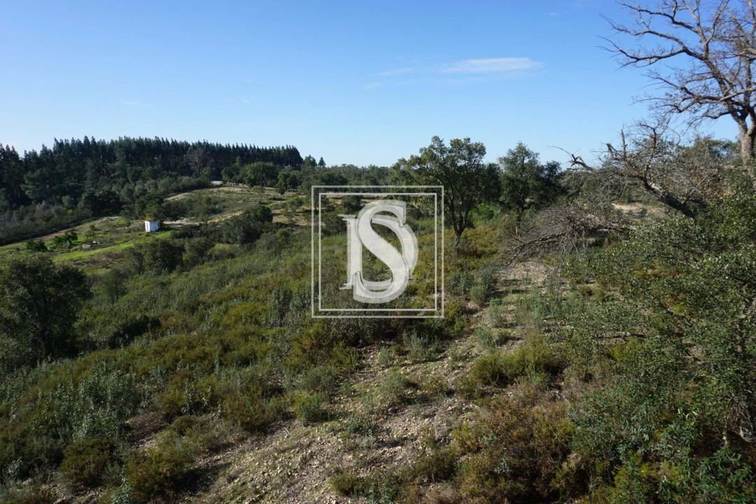 Terreno para Venda em Cunheira Foto 14