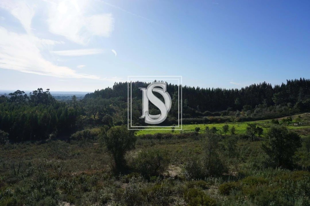 Terreno para Venda em Cunheira Foto 5