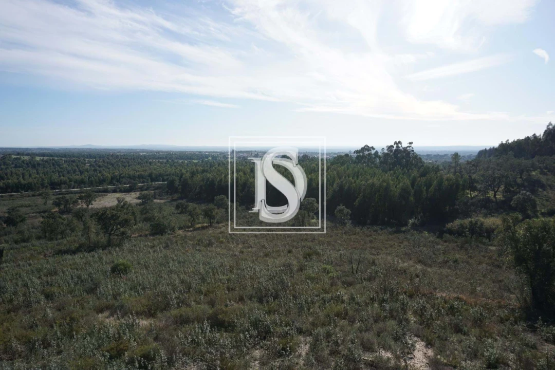 Terreno para Venda em Cunheira Foto 15