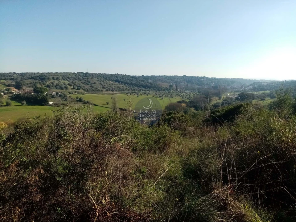 Terreno para Venda em Torres Novas (São Pedro), Lapas e Ribeira Branca Foto 5