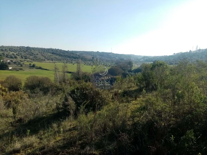Terreno para Venda em Torres Novas (São Pedro), Lapas e Ribeira Branca Foto 1