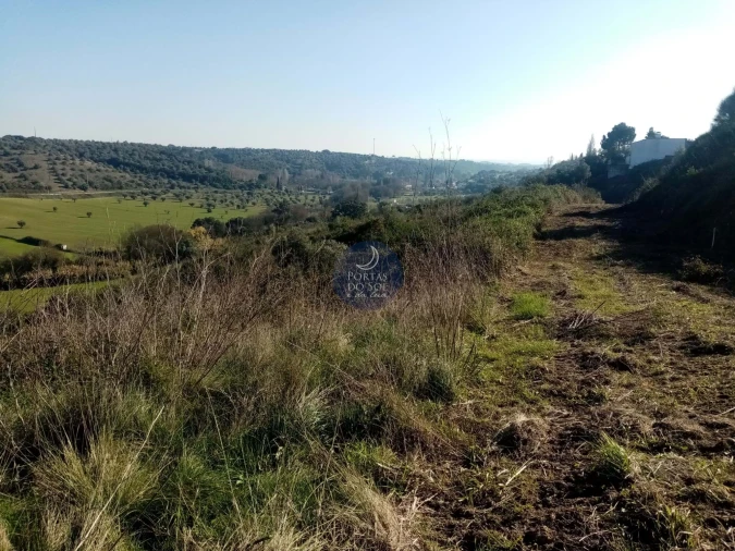 Terreno para Venda em Torres Novas (São Pedro), Lapas e Ribeira Branca Foto 6