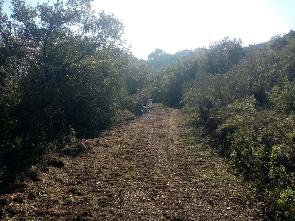 Terreno para Venda em Torres Novas (São Pedro), Lapas e Ribeira Branca Foto 3
