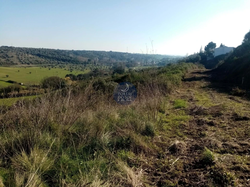 Terreno para Venda em Torres Novas (São Pedro), Lapas e Ribeira Branca Foto 6
