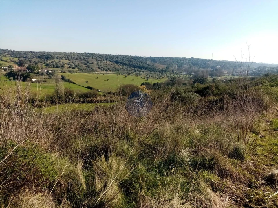 Terreno para Venda em Torres Novas (São Pedro), Lapas e Ribeira Branca Foto 4