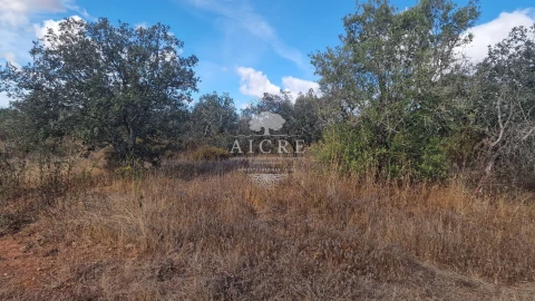Terreno para Venda em Malagueira e Horta das Figueiras