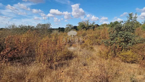 Terreno para Venda em Malagueira e Horta das Figueiras