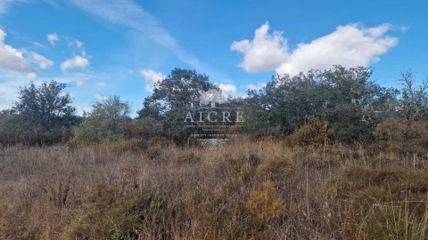 Terreno para Venda em Malagueira e Horta das Figueiras