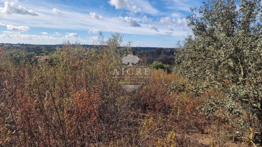 Terreno para Venda em Malagueira e Horta das Figueiras Foto 9