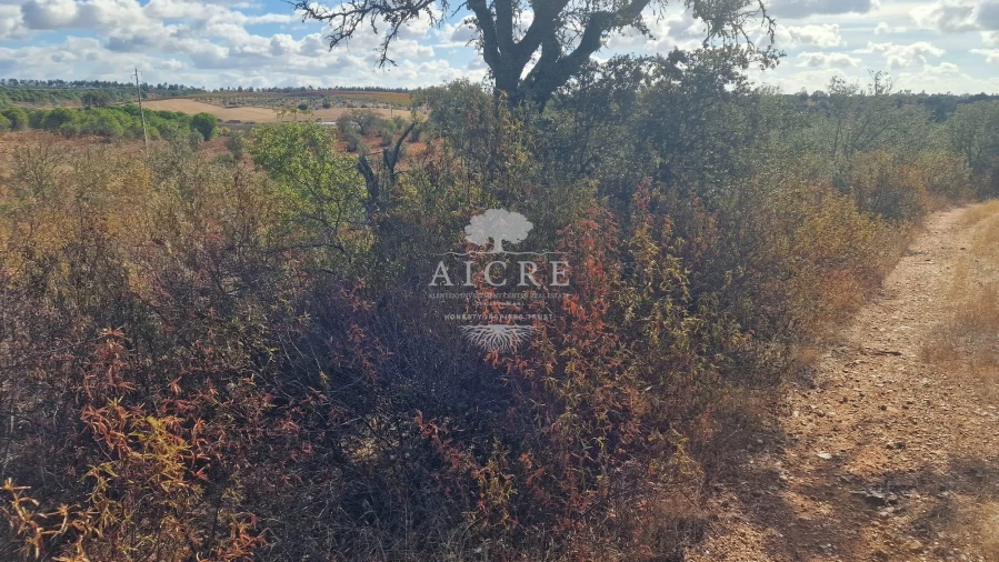 Terreno para Venda em Malagueira e Horta das Figueiras Foto 7