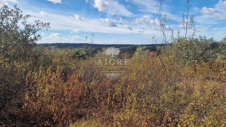 Terreno para Venda em Malagueira e Horta das Figueiras Foto 4