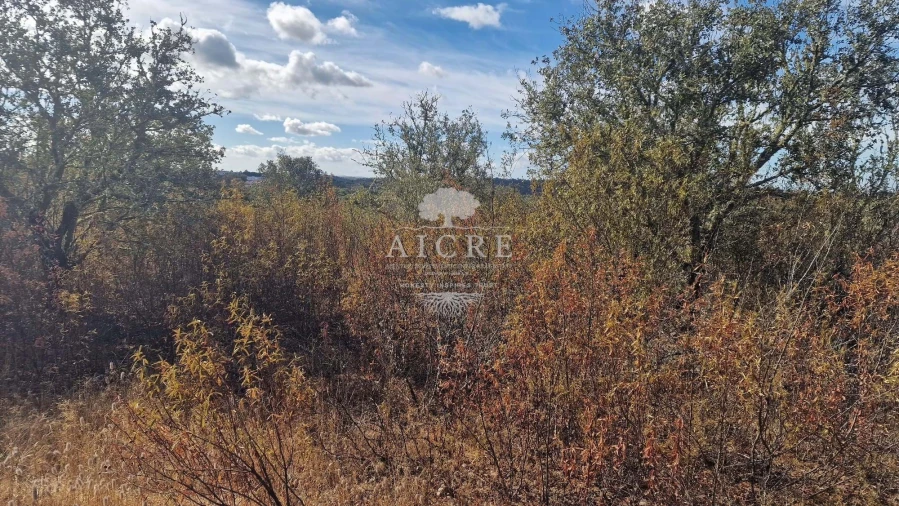 Terreno para Venda em Malagueira e Horta das Figueiras Foto 2