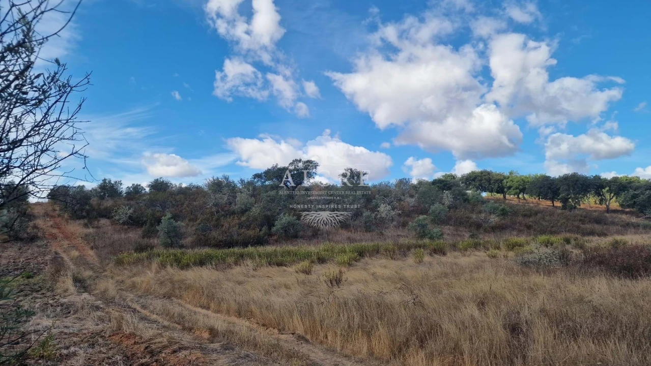 Terreno para Venda em Malagueira e Horta das Figueiras Foto 1