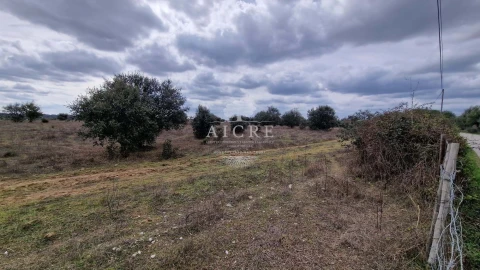 Terreno para Venda em Évora (São Mamede, Sé, São Pedro e Santo Antão)