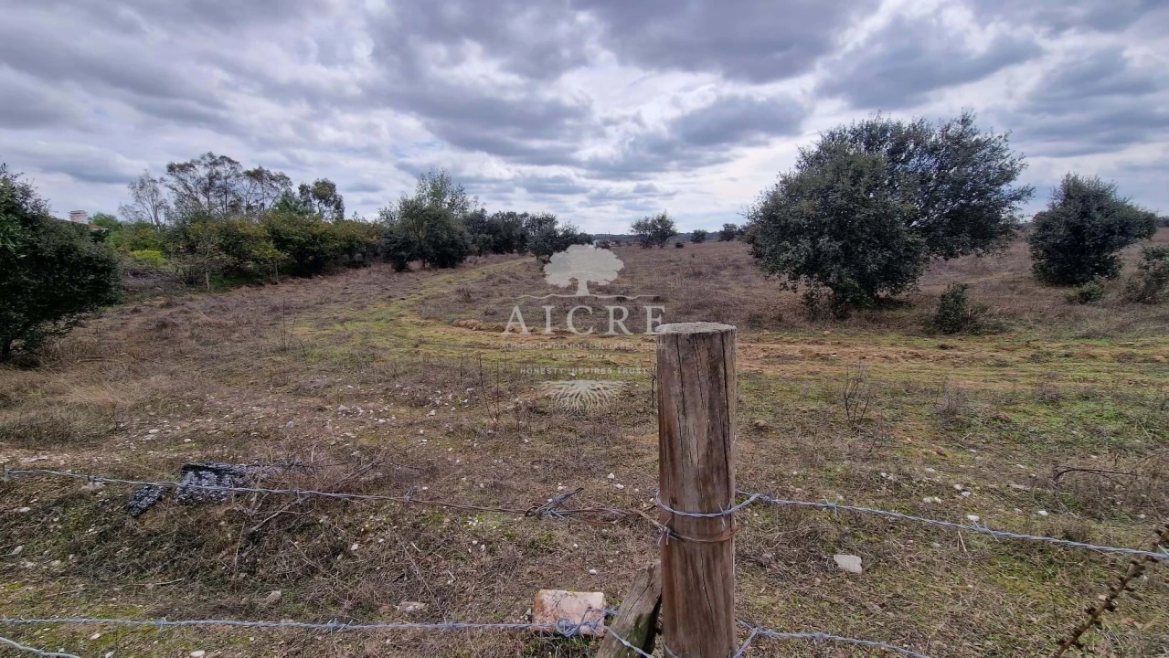 Terreno para Venda em Évora (São Mamede, Sé, São Pedro e Santo Antão) Foto 1