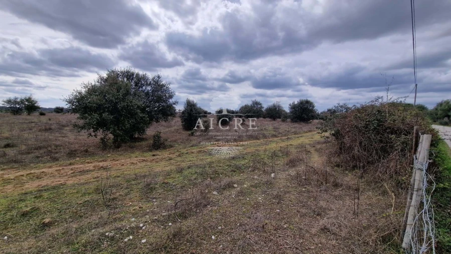 Terreno para Venda em Évora (São Mamede, Sé, São Pedro e Santo Antão) Foto 2