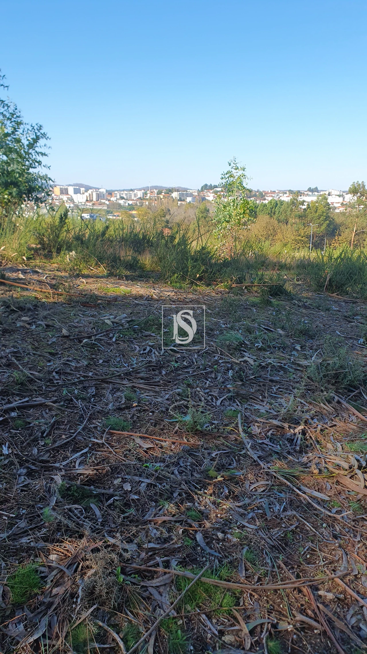 Terreno para Venda em Freamunde Foto 4
