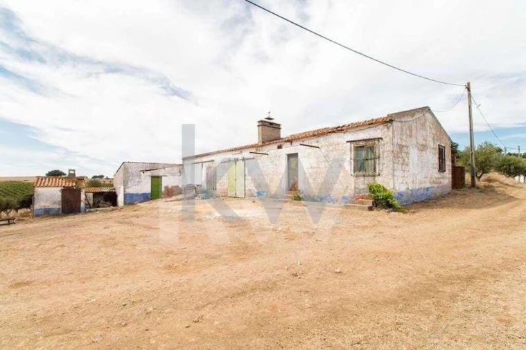 Quinta T3 para Venda em Vila de Frades Foto 14