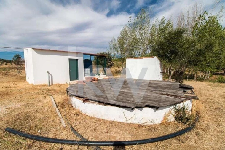 Quinta T3 para Venda em Vila de Frades Foto 12