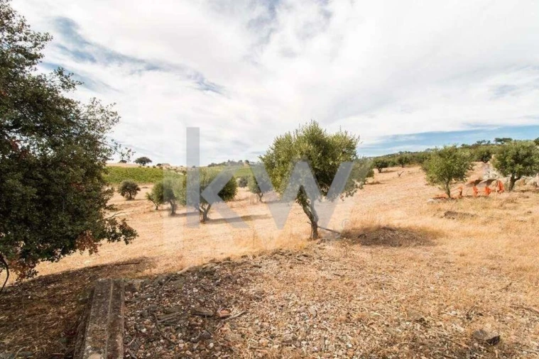 Quinta T3 para Venda em Vila de Frades Foto 11