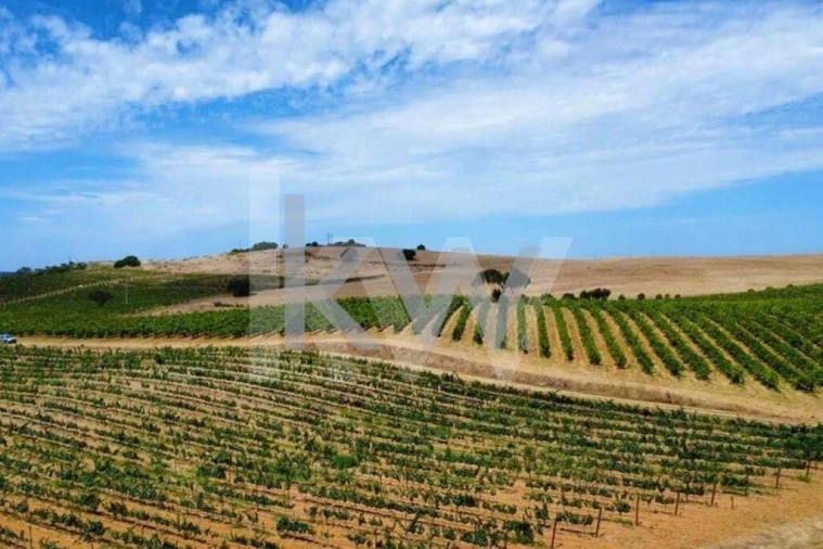 Quinta T3 para Venda em Vila de Frades Foto 5