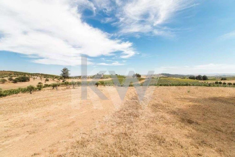 Quinta T3 para Venda em Vila de Frades Foto 8