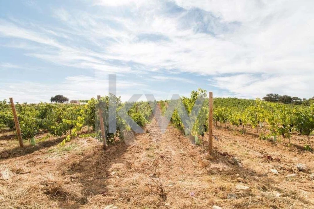 Quinta T3 para Venda em Vila de Frades Foto 3