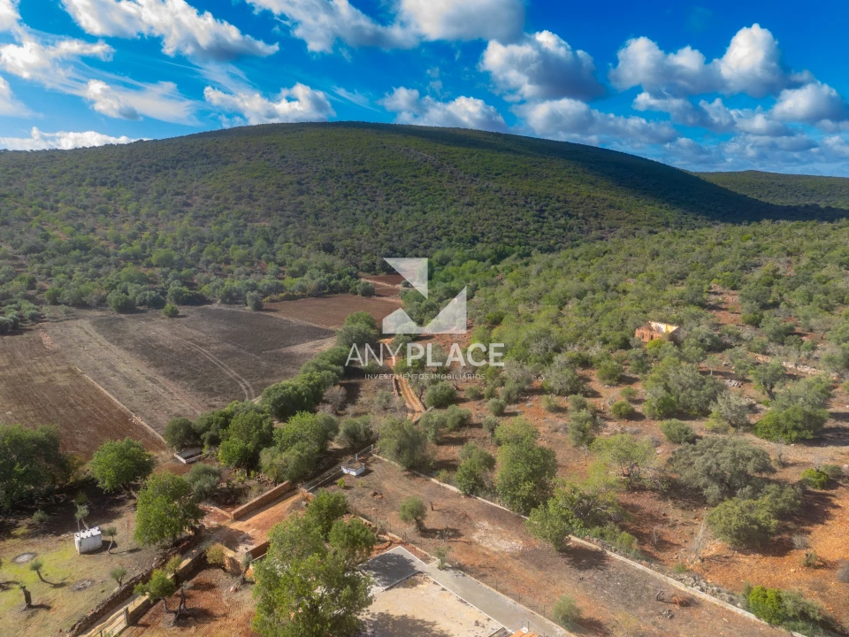 Negócio para Venda em Salir Foto 7