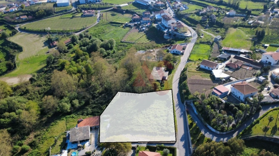 Terreno para Venda em Margaride, Várzea, Lagares, Varziela, Moure Foto 1