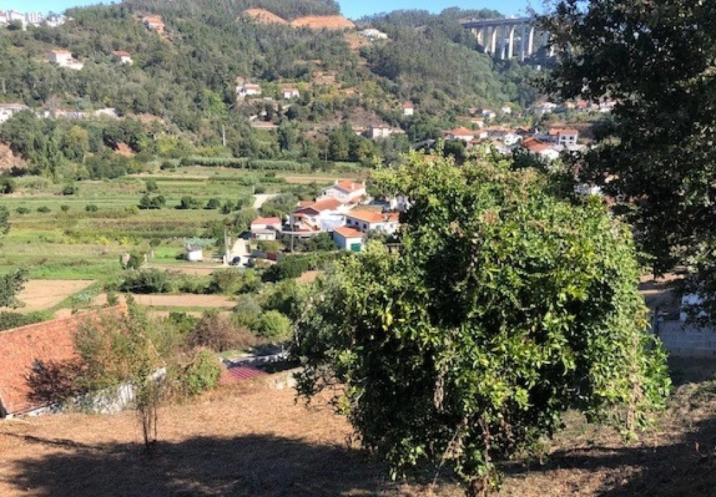 Terreno para Venda em Ceira Foto 4