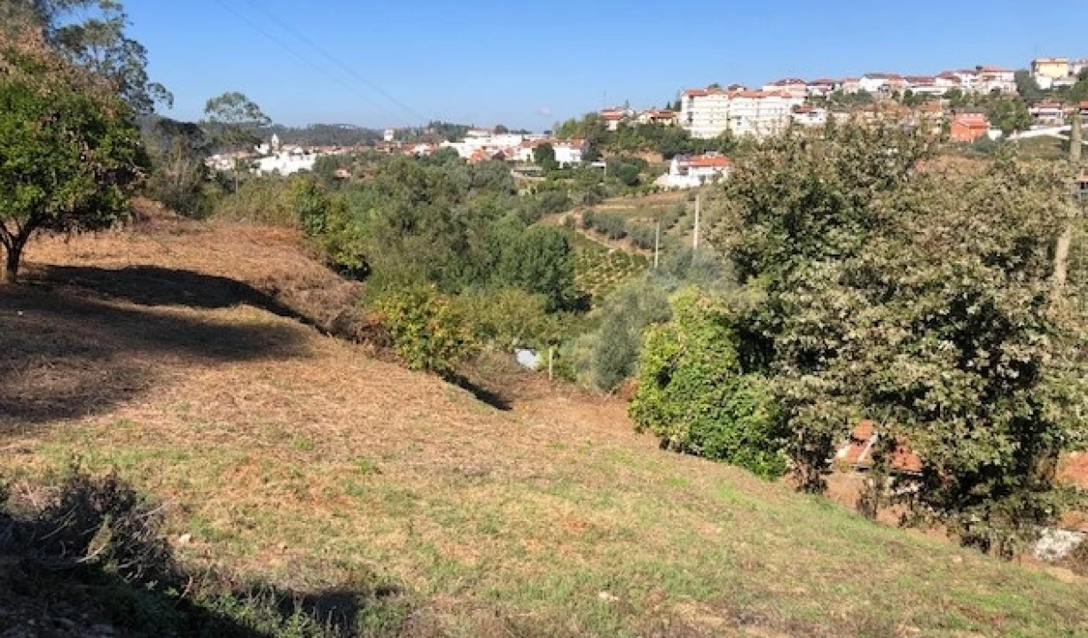 Terreno para Venda em Ceira Foto 1