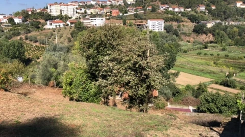 Terreno para Venda em Ceira