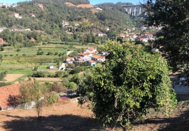 Terreno para Venda em Ceira