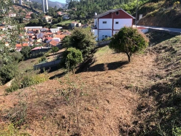 Terreno para Venda em Ceira