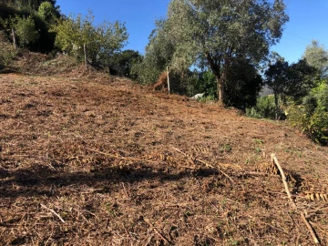 Terreno para Venda em Ceira
