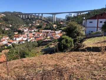 Terreno para Venda em Ceira