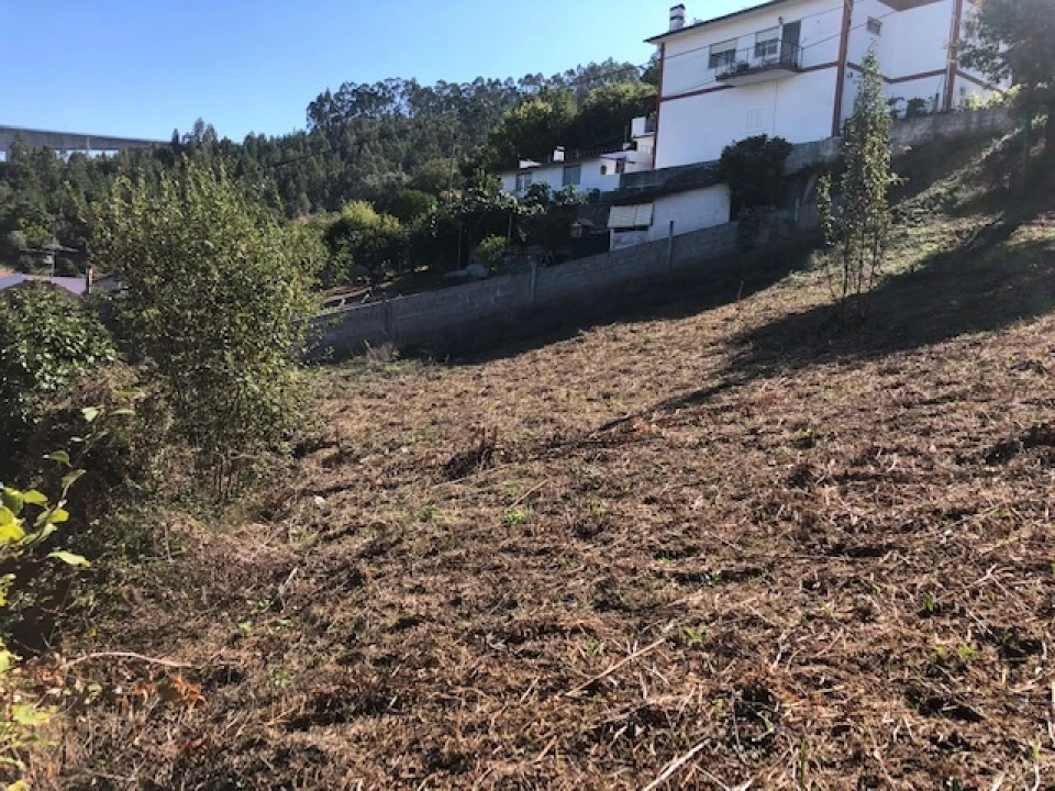 Terreno para Venda em Ceira Foto 9