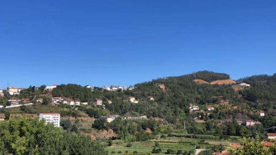 Terreno para Venda em Ceira Foto 8