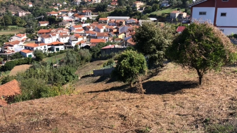 Terreno para Venda em Ceira Foto 16